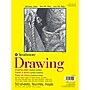 Strathmore 300 Series 9" x 12" Drawing Sketch Pad, 50 Sheets/Pad, 3/Bundle (STTP3401091-3)~#|#~3ED5AA77-41F4-4614-8863E466DDB78E91_sc7