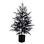 Nearly Natural Artificial Halloween Real Touch Black Norfolk Pine Christmas Tree, 4' (T5242)~#|#~3F00C318-5ABC-4A23-8BBD17E49398B1A0_sc7