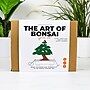 Gift Republic Bonsai Garden Grow Kit (GR452205)~#|#~3F545F50-CF7D-4846-B63EBCB67E52BFA8_sc7