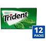 Trident Sugar Free Spearmint Gum, 14 Pieces/Pack, 12/Packs (VAM05017)~#|#~40BD91C9-7F96-45CD-8766342D623ED972_sc7