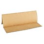 GEN Folded Paper Towels, Multifold, 9 x 9 9/20, Natural, 250 Towels/PK, 16 Packs/CT~#|#~41DC6B0E-5444-44A5-A6A63850ADA4273B_sc7