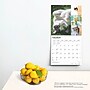 2025 BrownTrout Cat Lovers 12" x 12" Monthly Wall Calendar (9781975476793)~#|#~41FB7E1B-EA40-449D-8B2966C3B4E99440_sc7