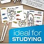 Oxford Unruled Index Cards, 3 x 5, White, 100/Pack~#|#~420EC425-1441-469C-983BF08E2898FC8E_sc7