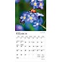 2026 BrownTrout Wildflowers 7" x 7" Monthly Wall Calendar (9798330706358)~#|#~421C4DF8-F241-4C0B-A7BE3006757238ED_sc7