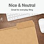 Pendaflex Heavy Duty File Folder, 1/3-Cut Tab, Assorted, Letter Size, Kraft, 50/Box (1007030)~#|#~4254B4B3-AADC-4CFE-8095A1E5EE54665F_sc7