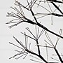Nearly Natural Pre-Lit Artificial Halloween Black Starburst Tree, 6' (T5410)~#|#~427154D1-4FF0-42E2-B46309F3F92CE40B_sc7