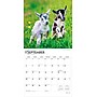 2026 BrownTrout Baby Goats 12" x 12" Monthly Wall Calendar (9798330702268)~#|#~42CE1A3F-368C-40C0-B777AA325ED535BC_sc7