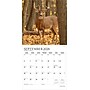 2026 Plato Monster Bucks 12" x 12" Monthly Wall Calendar (9798330706884)~#|#~42FC85CB-08A3-46A4-A64A2D9F4885D1E4_sc7