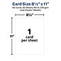 Avery Integrated Cards,8.5" x 11", Matte White, 50/Box (95282)~#|#~43C3BBC6-839E-4D1B-A1C9EEBEEB68EB13_sc7