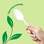 Perk™ Eco Compostable PLA Spoon, Medium-Weight, White, 300/Pack (PK56203)~#|#~43D1BFA2-FDAE-4AA6-B55A004EDFCE8FCE_sc7