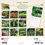 2026 BrownTrout Country Gardens 12" x 12" Monthly Wall Calendar (9798330703043)~#|#~43E243FB-C8B8-4B3F-87A6477BBF2132DF_sc7