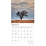 2026 BrownTrout Colorado Wild & Scenic 12" x 12" Monthly Wall Calendar (9798330703005)~#|#~447E81E1-09D9-4547-9E0CAFFE7E47EFF2_sc7