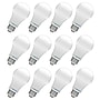 Viribright A19 14 Watts Daylight LED Household Bulb, 12/Box (651641-12)~#|#~4488E6B8-70B9-4EE8-900C6F19FFE11524_sc7