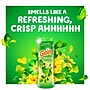 Gain Fireworks In-Wash Scent Booster Beads, Original, 18.2 oz (76343)~#|#~452B0195-42CE-4A0D-8741873AE39F8B25_sc7