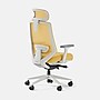 Branch Mesh Fabric Ergonomic Chair Pro Headrest, Spark/White (13-45-00-30-V2)~#|#~453794C4-A8B8-4F5F-8241196A5AF3834A_sc7