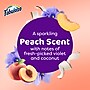 Fabuloso 2X Multi-Purpose Cleaner, Peach Scent, 56 oz. (61046751)~#|#~4554D17D-3017-41FA-B877E7C4D7826836_sc7