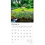 2026 BrownTrout Country Gardens 12" x 12" Monthly Wall Calendar (9798330703043)~#|#~457BD842-2D1B-474E-8F5B471486F0B4CC_sc7