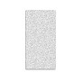 Armstrong CORTEGA Tegular Edge Ceiling Tile, 24" x 48", White, 10/Carton (BP703B)~#|#~457C5612-2D94-4139-902655FBE6F78EE0_sc7
