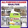 Mr. Clean Professional All Purpose Floor Cleaner, Lemon Scent, 1 Gallon, 3/Carton (PGC02621)~#|#~45A83B38-CB02-45D2-BAB521EE7146E1EF_sc7