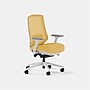 Branch Ergonomic Chair Pro Mesh Fabric Swivel Task Chair, Spark/White (11-16-00-30-V2)~#|#~45E1394D-05C2-4564-BDBCE98FAAEBD7E4_sc7