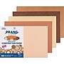 Prang Shades of Me 12" x 18" Construction Paper, Assorted Colors, 50 Sheets/Pack, 5 Packs (PAC9512-5)~#|#~45EA0BE9-1FB5-4B14-9BAB4F209BDDC266_sc7