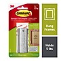 Command Large Picture Hanger, 5 lb, White, (17047)~#|#~4606A74B-2295-48D9-83B538EDBF766B86_sc7