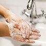 Dial Basics Foaming Hand Soap, Floral, 15.2 Oz., 4/Carton (98609)~#|#~m002277297_sc7
