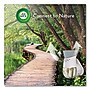 Air Wick Scented Oil Warmer Refill, Hawaii Tropical Paradise Scent, 0.67 oz., 10/Pack (62338-01921)~#|#~4682D737-0F72-42ED-9C13035873C9D293_sc7