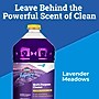 CloroxPro Fraganzia Multi-Purpose Cleaner, Lavender Meadows Scent, 175 oz. (60614)~#|#~477766FE-0A33-4543-AE50B5111963795D_sc7