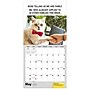 2027 TF Publishing Corporate Cats 12" x 12" Monthly Wall Calendar (27-1005)~#|#~47BE186A-F557-4469-A682A21AA0333FAC_sc7