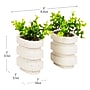 Mind Reader Concrete Book Ends, 5", White, 2/Set (OVBPLANT-WHT)~#|#~480FB1FF-C479-4241-94E2E1DF69A8969F_sc7