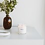 Calyan Wax Co. 2-Wick Clear Glass TumblerCedar + Tobacco Scent 2-Wick Soy Glass Jar Candle, 8.8 oz. (11TUMCT)~#|#~48611325-692B-4F31-8D97036939999B35_sc7