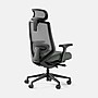 Branch Mesh Fabric Ergonomic Chair Pro Headrest, Everglade/Black (13-45-00-27-V2)~#|#~48CBAFF1-6F50-4AC2-B2DAF1E3F95816EF_sc7