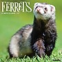 2027 Willow Creek Ferrets  12" x 12" Monthly Wall Calendar (60230)~#|#~492A709E-CB2B-4C4A-BD70925F8F0641A7_sc7