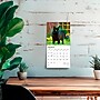 2026 BrownTrout Black Cats 7" x 7" Monthly Wall Calendar (9798330702473)~#|#~49DE1375-DE41-475C-89B578BBAF3F16BC_sc7
