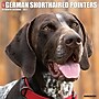 2027 Willow Creek German Shorthaired Pointers 12" x 12" Monthly Wall Calendar (60384)~#|#~4B20B6EE-2D69-476D-95AD13AC70089F30_sc7