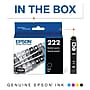 Epson 222 Black Standard Yield Ink Cartridge (T222120-S)~#|#~4CABD2B0-85B0-4E8C-B7631418D99AF697_sc7