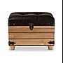 Baxton Studio Edmund Faux Leather Storage Ottoman, Dark Brown/Oak Brown (191-11904-HiT)~#|#~4CD6D649-89E1-46A6-8BB1920E4BA36DFE_sc7