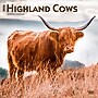 2026 BrownTrout Highland Cows 12" x 12" Monthly Wall Calendar (9798330703630)~#|#~4DC7A109-D207-451F-9E3C6B7B387E1B0F_sc7