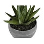 Monarch Specialties Inc. Succulents in Pots, 3/Pack (I 9587)~#|#~4E17B7CF-3B94-497E-A01C4BA79753E545_sc7