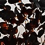 Nearly Natural Pre-Lit Artificial Halloween Black Eucalyptus Tree, 4' (T5221)~#|#~4E35844B-9833-4AB2-A0ED8B0C26158143_sc7