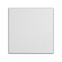 Armstrong CLEAN ROOM VL Square Lay-In Edge Ceiling Tile, 24" x 24", White, 12/Carton (BP868B)~#|#~4E4B2C2A-2192-4452-BFB06D00BD115A30_sc7