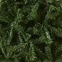 National Tree Company 6' Kincaid Spruce Artificial Christmas Tree (KCDR-60)~#|#~4EC9292A-F287-4C8D-AF05B1F53A704319_sc7