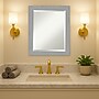 Amanti Art Brushed Nickel Frame Wall Mirror, 23.5" x 19.5" (A42674593052)~#|#~4F2A9C9F-FD81-488B-830DFF04208F56D3_sc7