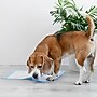DMI Ultra Absorbent Disposable Incontinence Pads, 36"L x 36"W, 50/Carton (560-7097-1900)~#|#~4F7CBD69-8D49-4180-AC66757EA78F9345_sc7