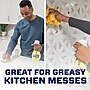 Mr. Clean Clean Freak Starter Kit Multi-Surface Mist, Lemon Zest 16 oz. (79129)~#|#~4F80C858-5473-4A9A-AE630E5C3EB62148_sc7