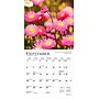 2026 BrownTrout Wildflowers 7" x 7" Monthly Wall Calendar (9798330706358)~#|#~4FAAC2C9-4AEE-466F-81326A667773CB79_sc7