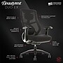 Beautyrest Duo-EX Ergonomic Mesh Swivel Task Chair, Black/Gray (60051GRY)~#|#~5052BD25-6D81-4592-ACF47CF68A5B06EB_sc7