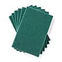 Coastwide Professional™ Medium Duty Scouring Pad, Green, 10/Pack (CW56787)~#|#~50765980-4566-4E3C-95750496D582C703_sc7