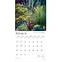 2026 BrownTrout Gardens 12" x 12" Monthly Wall Calendar (9798330703326)~#|#~5090D017-D7F8-4270-B6C92702D2A8D9C3_sc7